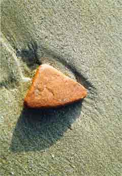 stone on the beach