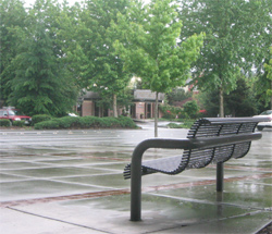 Bench in Redmond