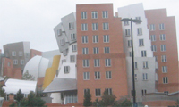 MIT Strata center