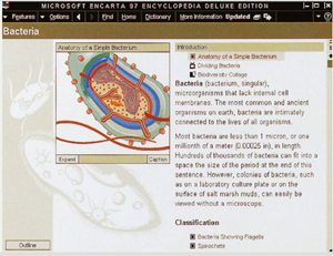 microsoft encarta language learning